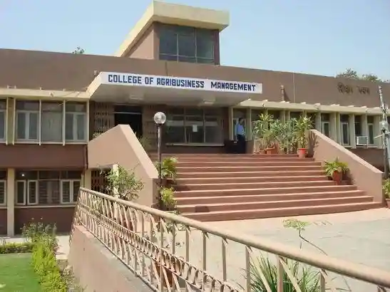 College of Agri-Business Management Pantnagar Admissions 2025: MBA on BoostMyTalent